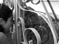 /album/fotogaleria-reflejos/a2-jpg/