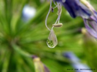 /album/fotogaleria-reflejos/reflejo-jpg/