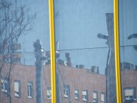 /album/fotogaleria-reflejos/a42-jpg/