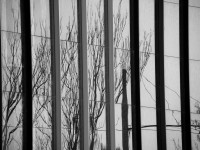 /album/fotogaleria-reflejos/a44-jpg/