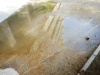 /album/fotogaleria-reflejos/a10f-jpg/