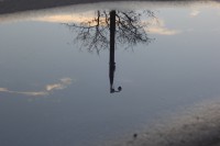 /album/fotogaleria-reflejos/reto-mg-4689-jpg/