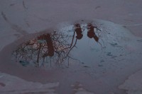 /album/fotogaleria-reflejos/reto-mg-4755-jpg/