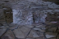 /album/fotogaleria-reflejos/reto-mg-4762-jpg/